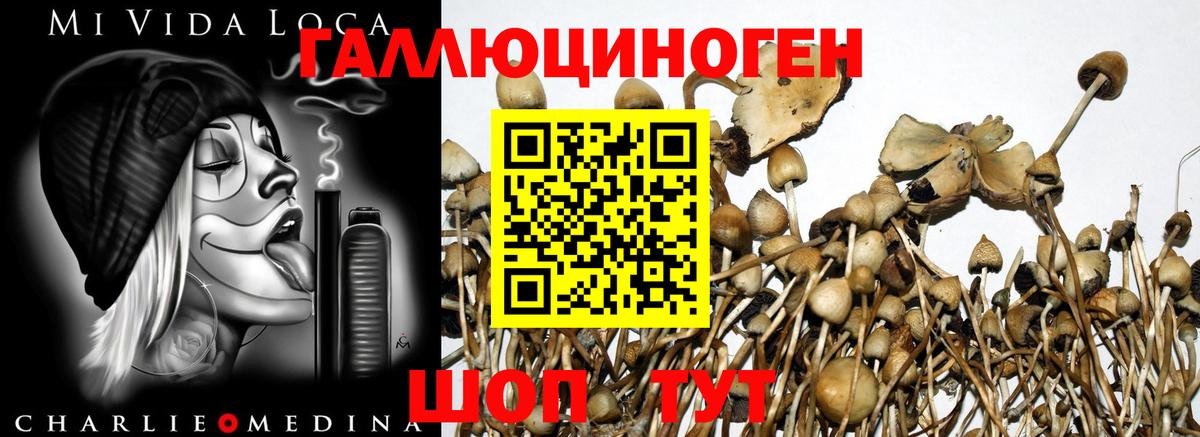 Галлюциногенные грибы мухоморы Советский